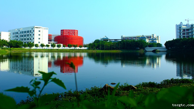 校园风光 (11).jpg